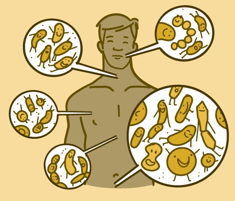 Illustration showing where microbes live on the body of a man