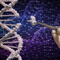 DNA Modification Illistration