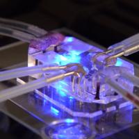 Lung-on-a-chip.  